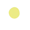🟡