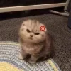 😠