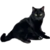 😸