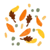 🍂