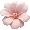 🌸