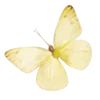 💛