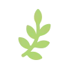 🌿