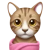 🐈