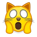 🙀