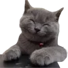 ☺