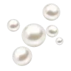 🐚