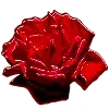 🌹