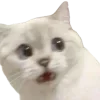 😨