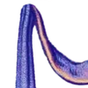 🌌