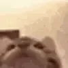 😋