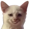 😁