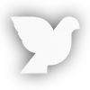 🕊️