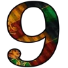 9⃣