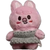 🐷