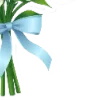 🌿
