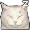 😴