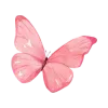 🦋