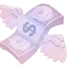 💸
