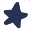 🌟