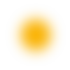 🟡