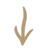 ⬇️