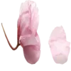 🌸