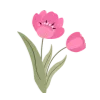 🌷