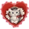 ⭐