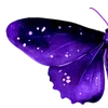 🌌