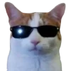 😎