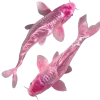 🐠