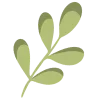 🌱
