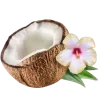🥥
