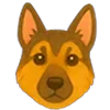 🐶