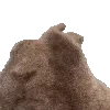 🐰