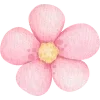 🌸