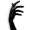 ✋
