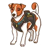 🐶