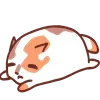 😴