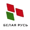 🟢