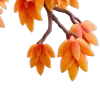 🍂