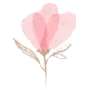 🌷