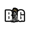 🌟