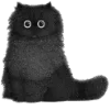 🐈‍⬛️