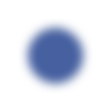 🔵
