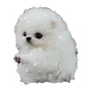 🐶