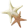 ⭐️