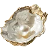 🐚