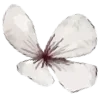 🌸